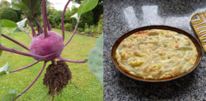 Kohlrabi-Kartoffelauflauf frisch aus dem Garten