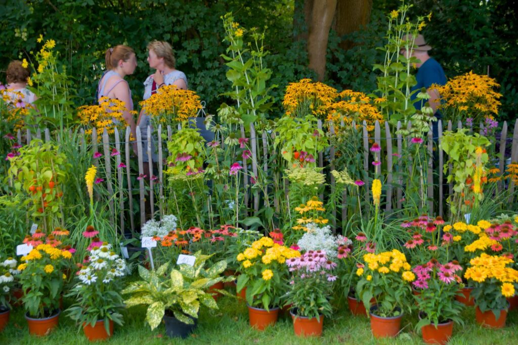 Ein Schwätzchen am Gartenzaun