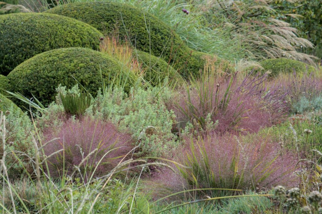 Heide-Garrigue-Garten