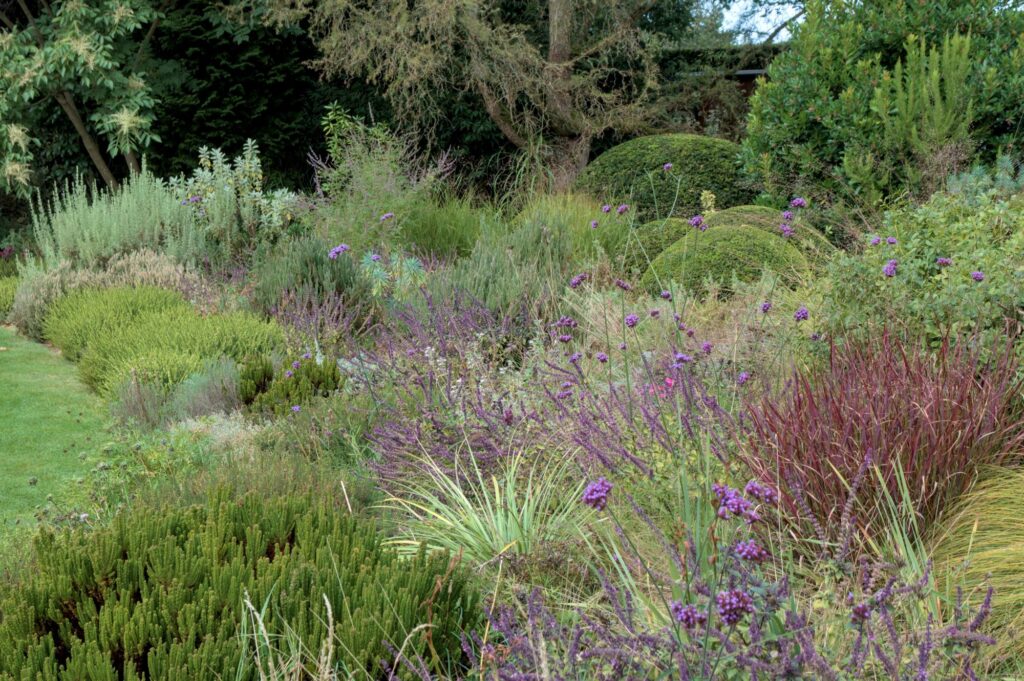 Heide-Garrigue-Garten