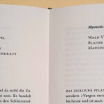 Jungfer_im_Grünen_Titel