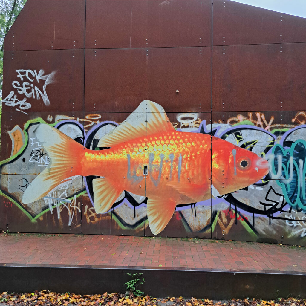 Goldfisch an der Weberei