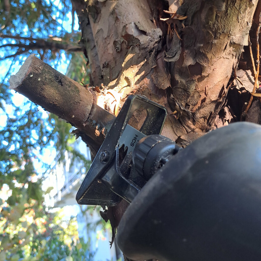 Aufasten mit der Säbelsäge