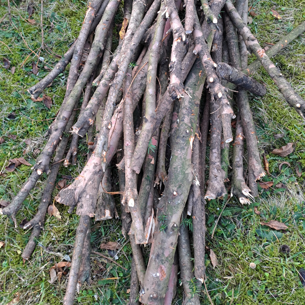 Die dickeren Äste kommen auf die Totholzhecke.