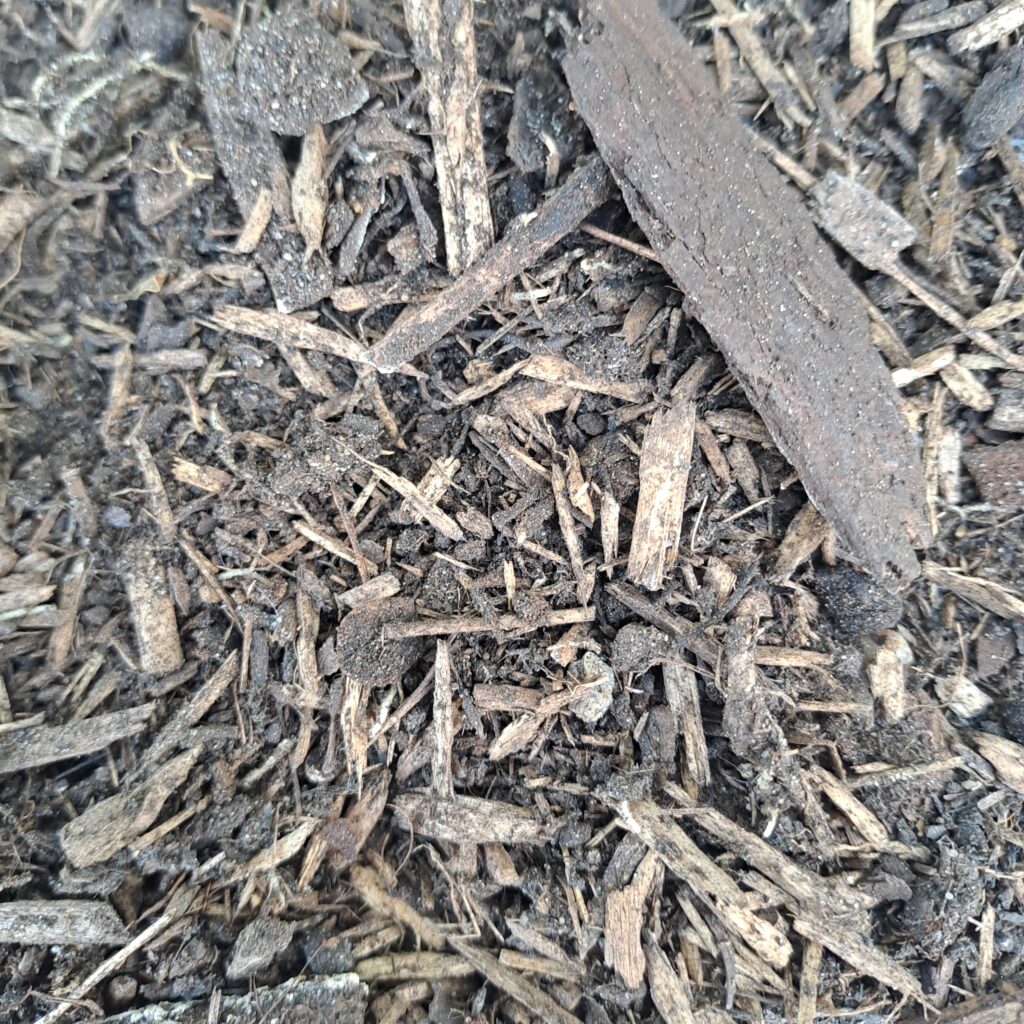 Hochbeeterde Kleeschulte