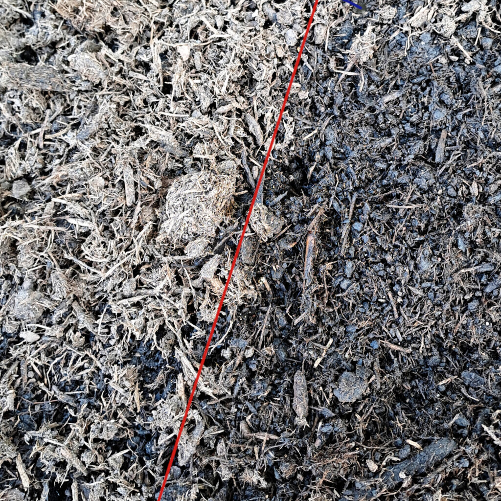 Torffreie Erde: oberflächliche Austrockung