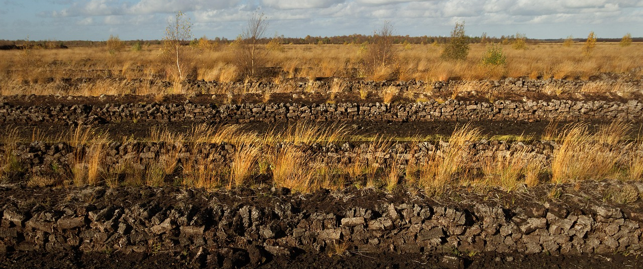 Torfgewinnung im Moor