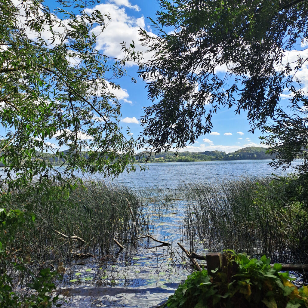 Ausblick auf den Laacher See vom Wanderweg aus