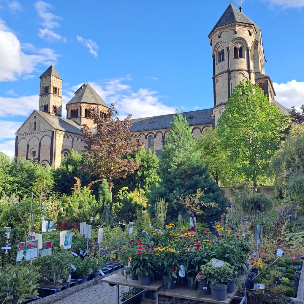 Blick von der Gärtnerei auf die Kirche