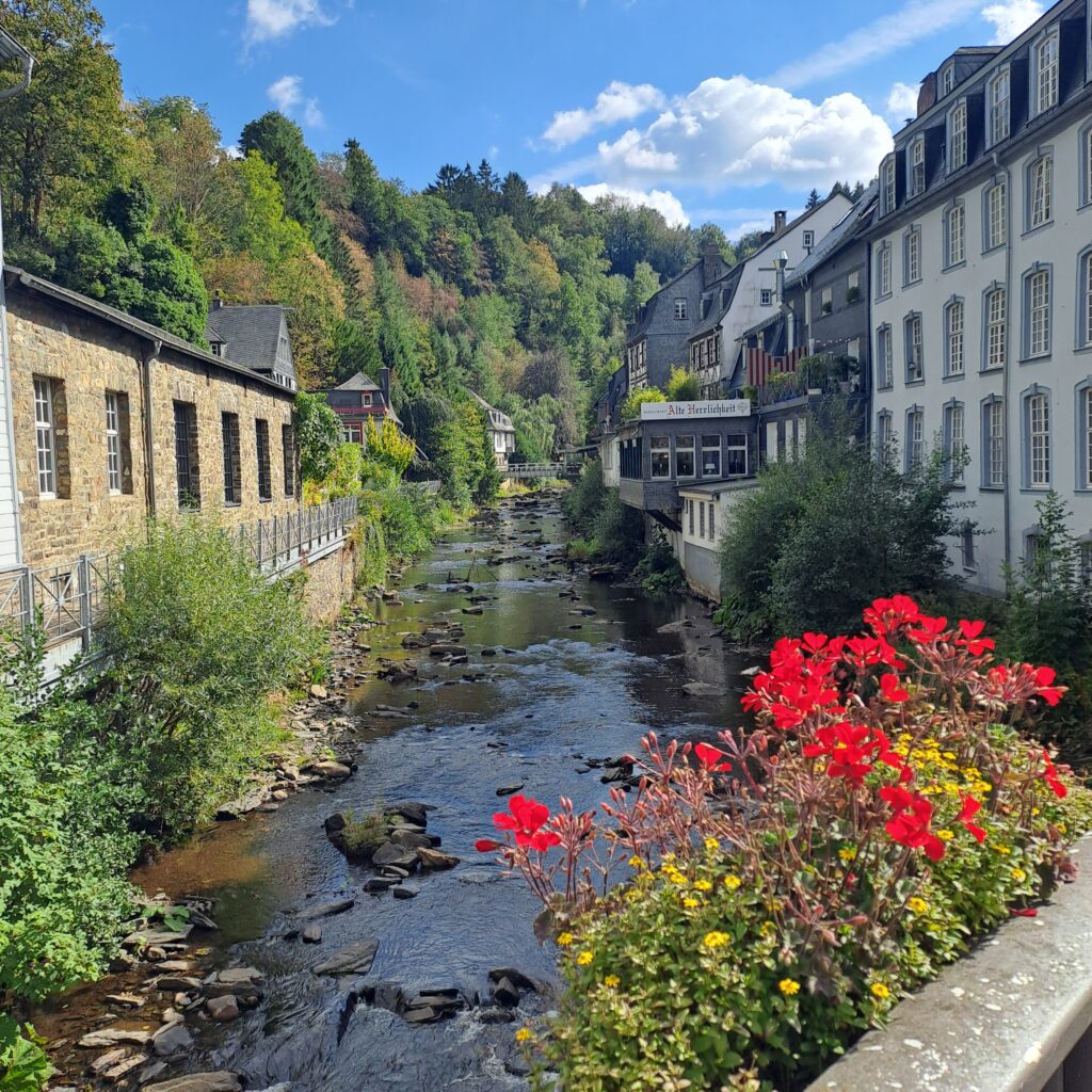 Blick auf die Rur. die durch die Stadt verläuft